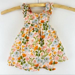 NWT Angel Dear Floral Botanical Lined Dress 3-6M